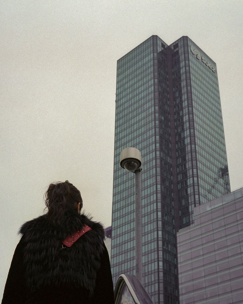 Safari urbain