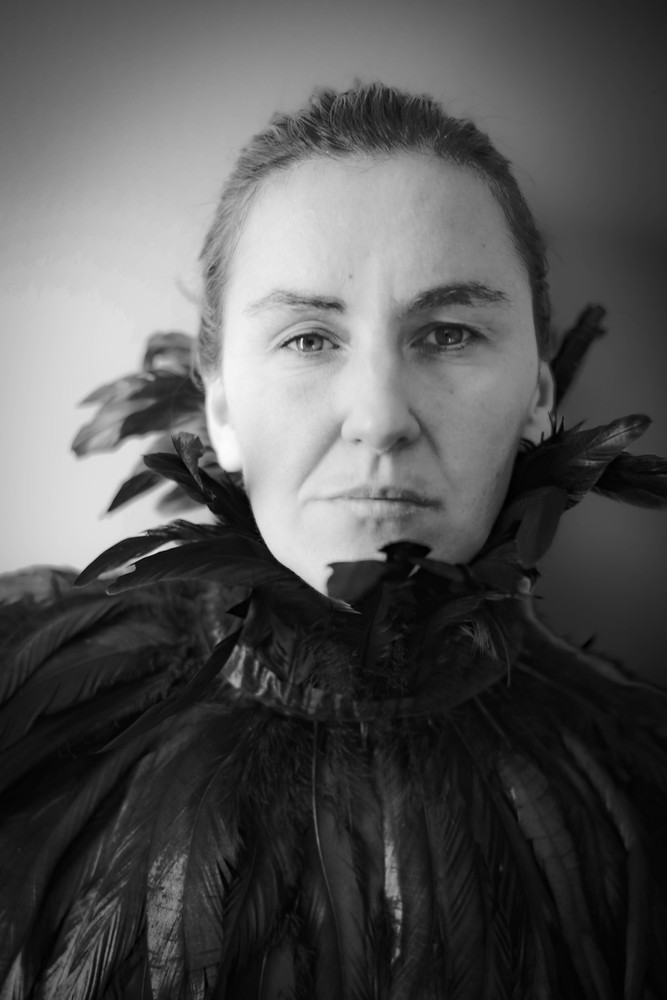 Birds of Baltic