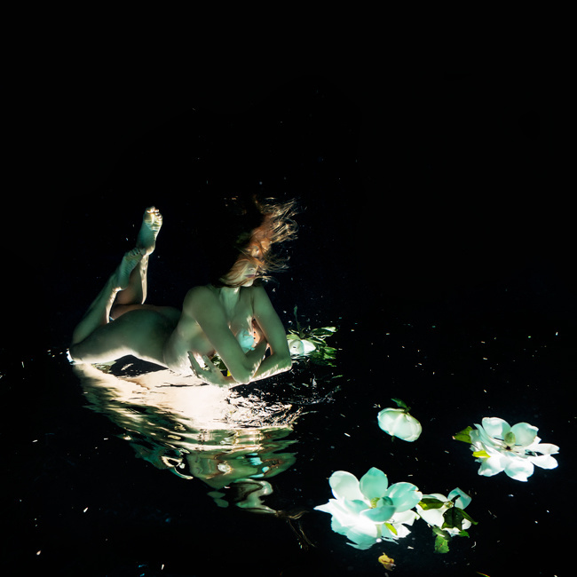 Magnolia