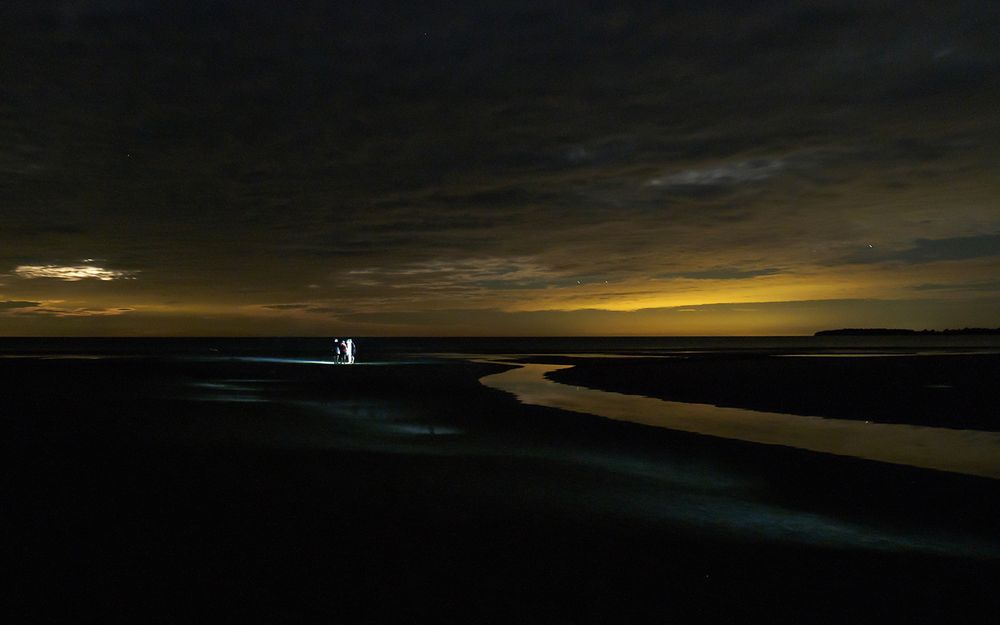 Eerie Landscapes (and Other-worldly Encounters)