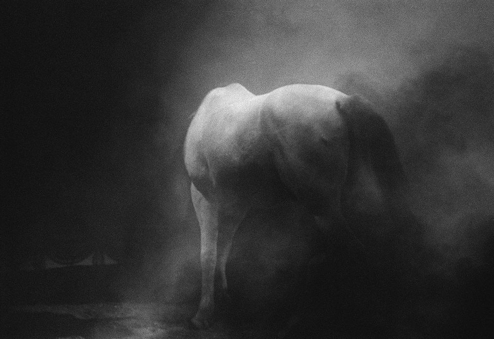 Circus