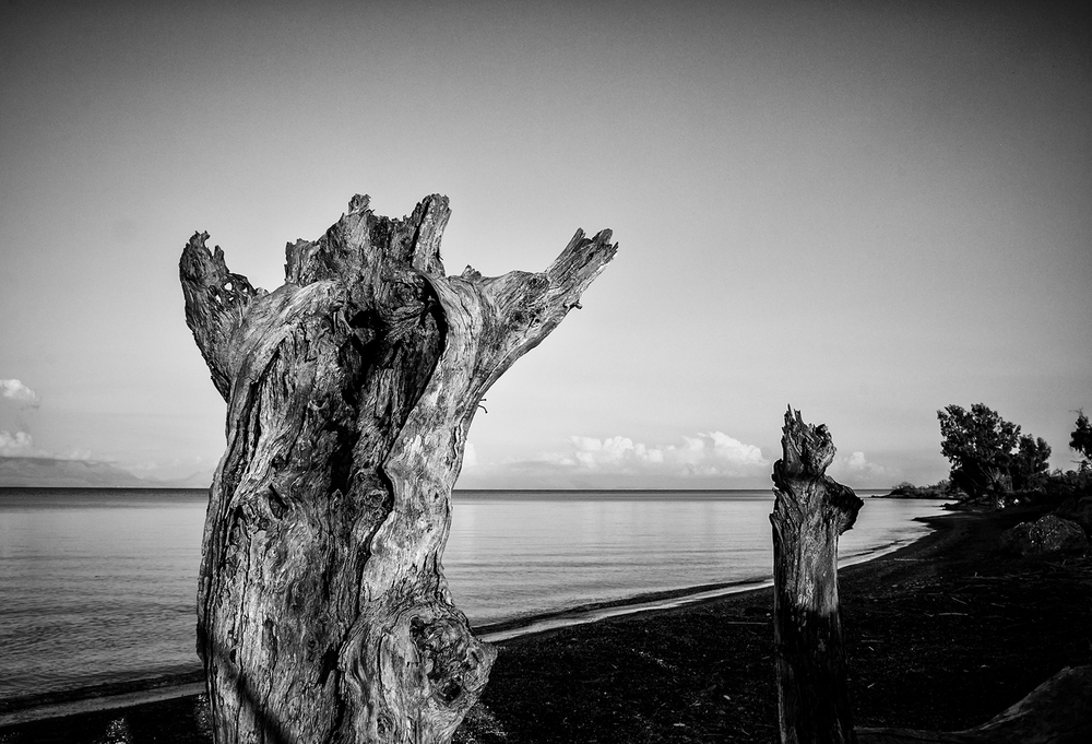 Totem