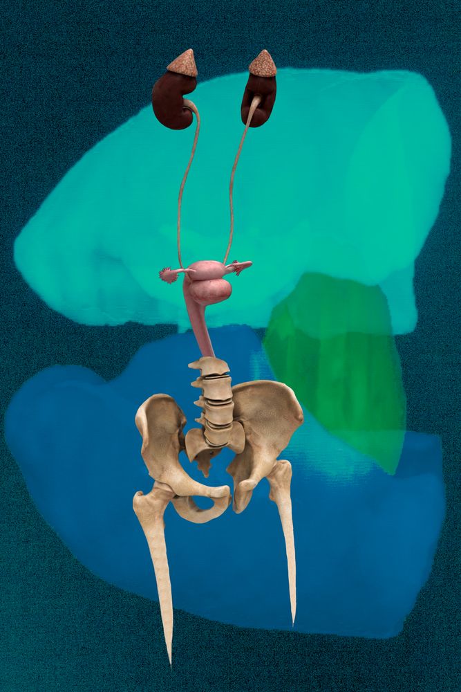 Freejazz