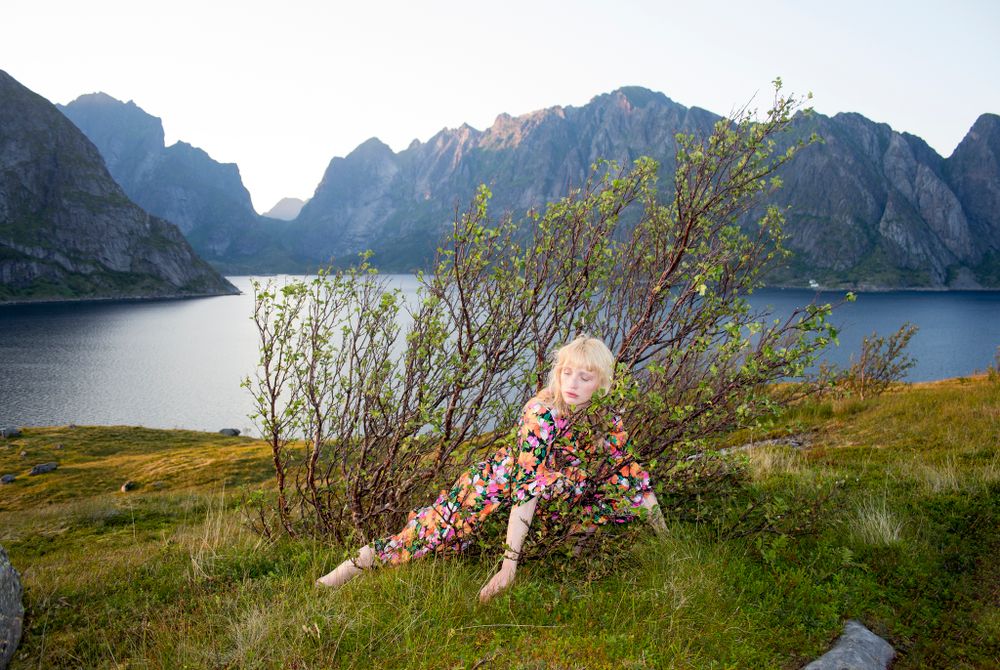 Reinefjorden