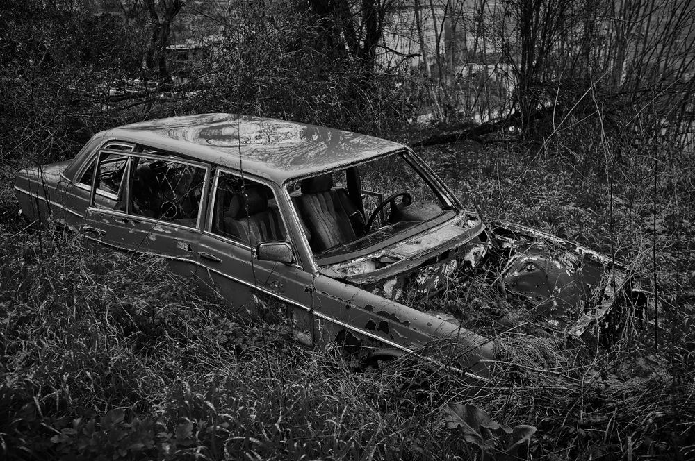 scenes of forgetfulness