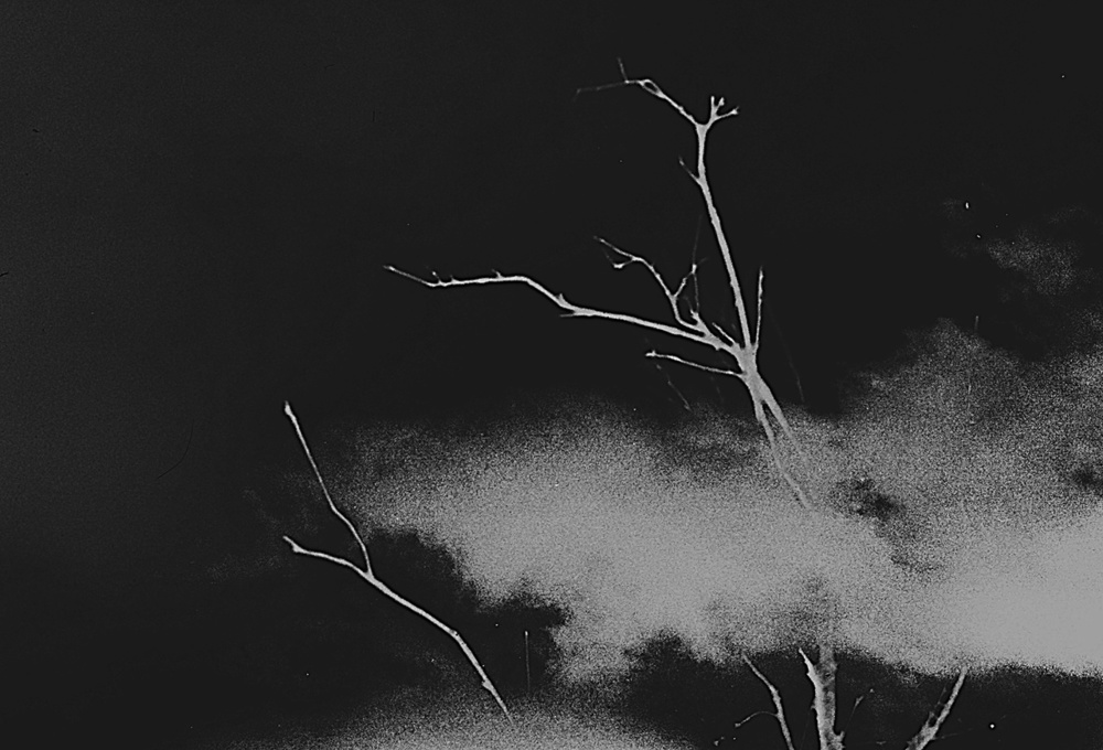 de Void