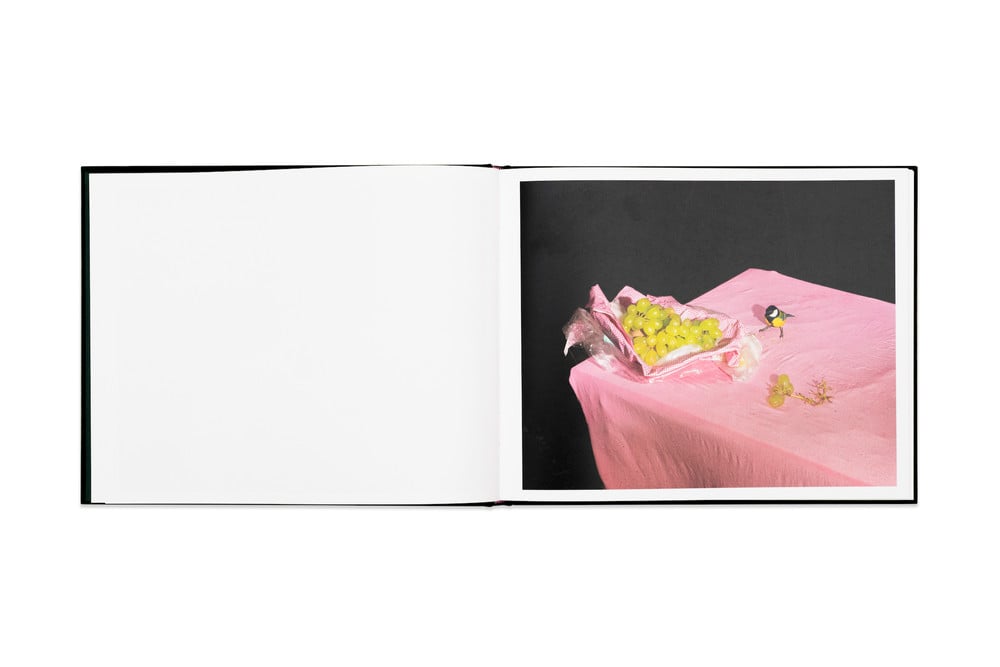 Spread from "Plates I-XXXI" © Lia Darjes/Chose Commune