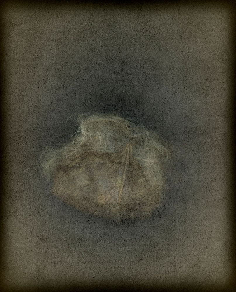 Spirits of Place