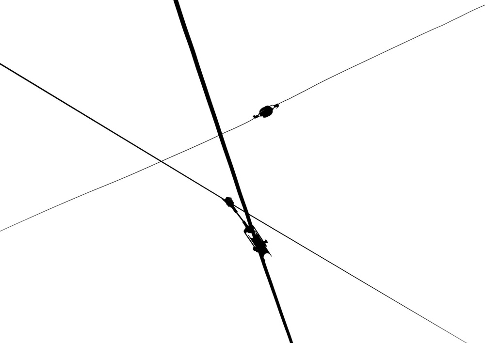 Lines
