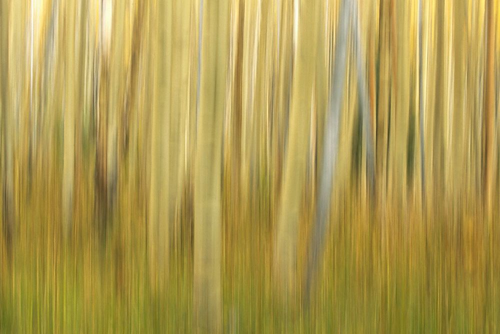 Impressions of Light