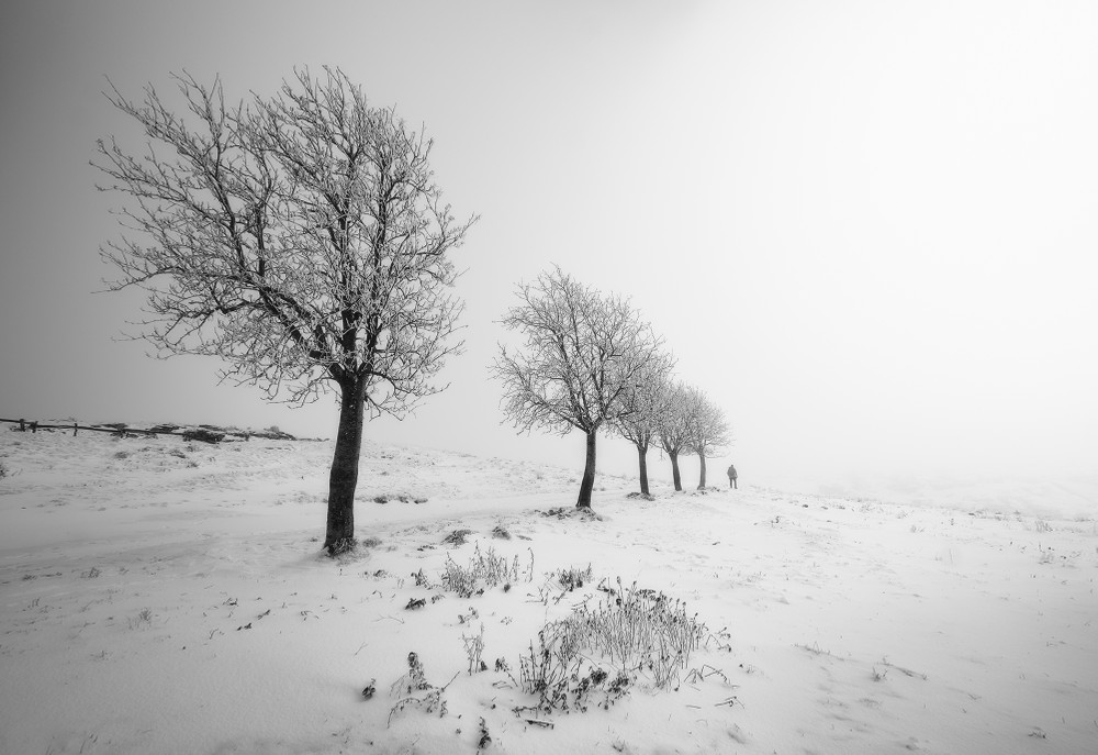 Silent snow
