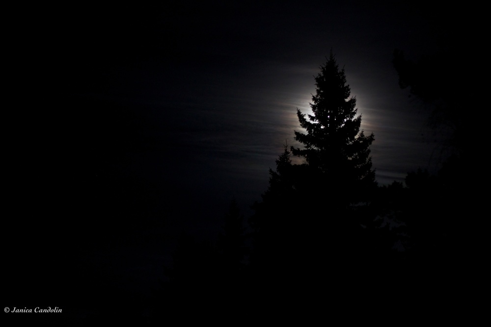 The moon series