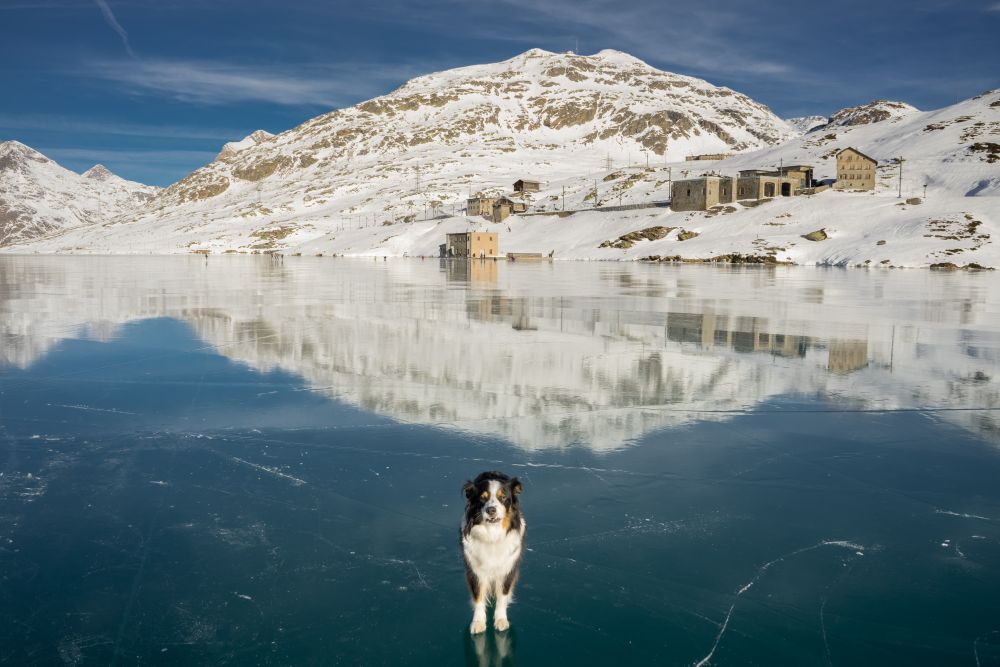 On the lake (elusive space)