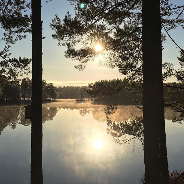 Nature´s moments
