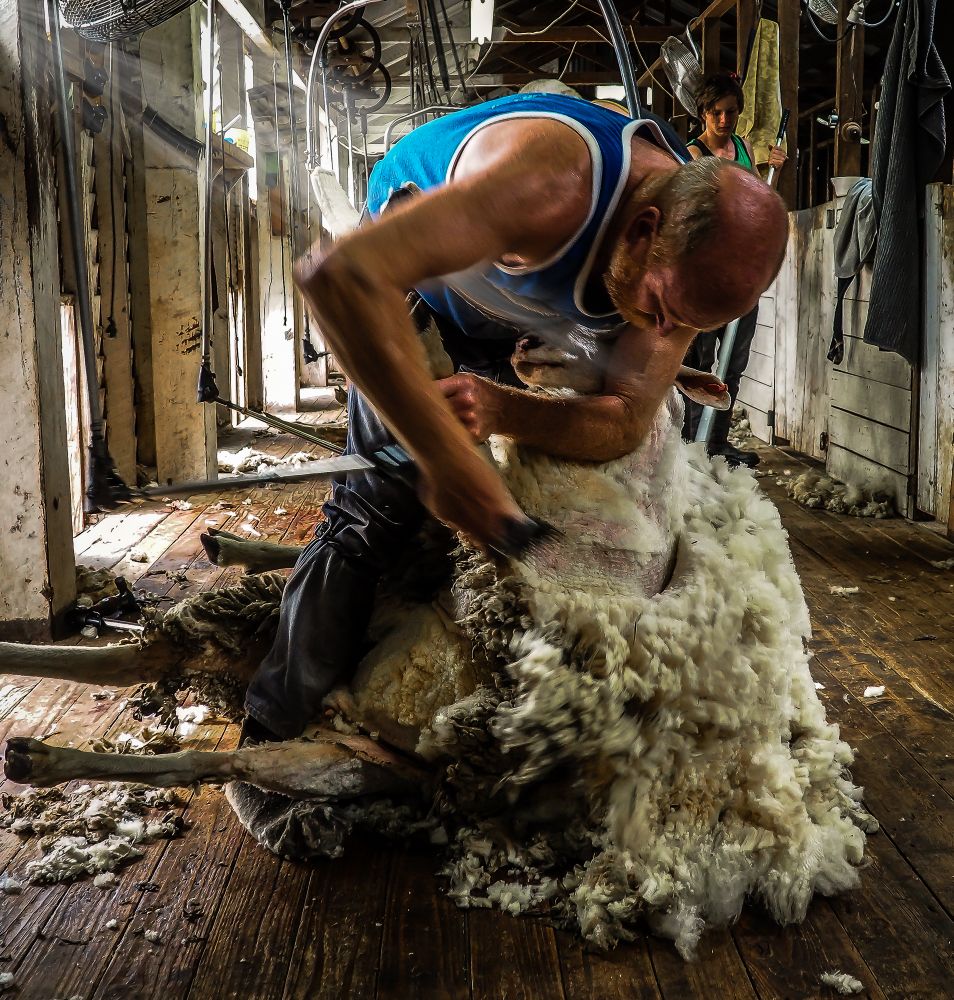 Shearing is Hard.