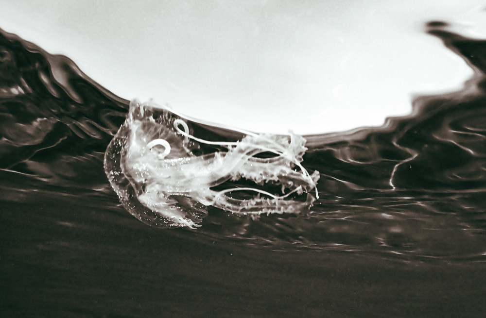 Submerged in water