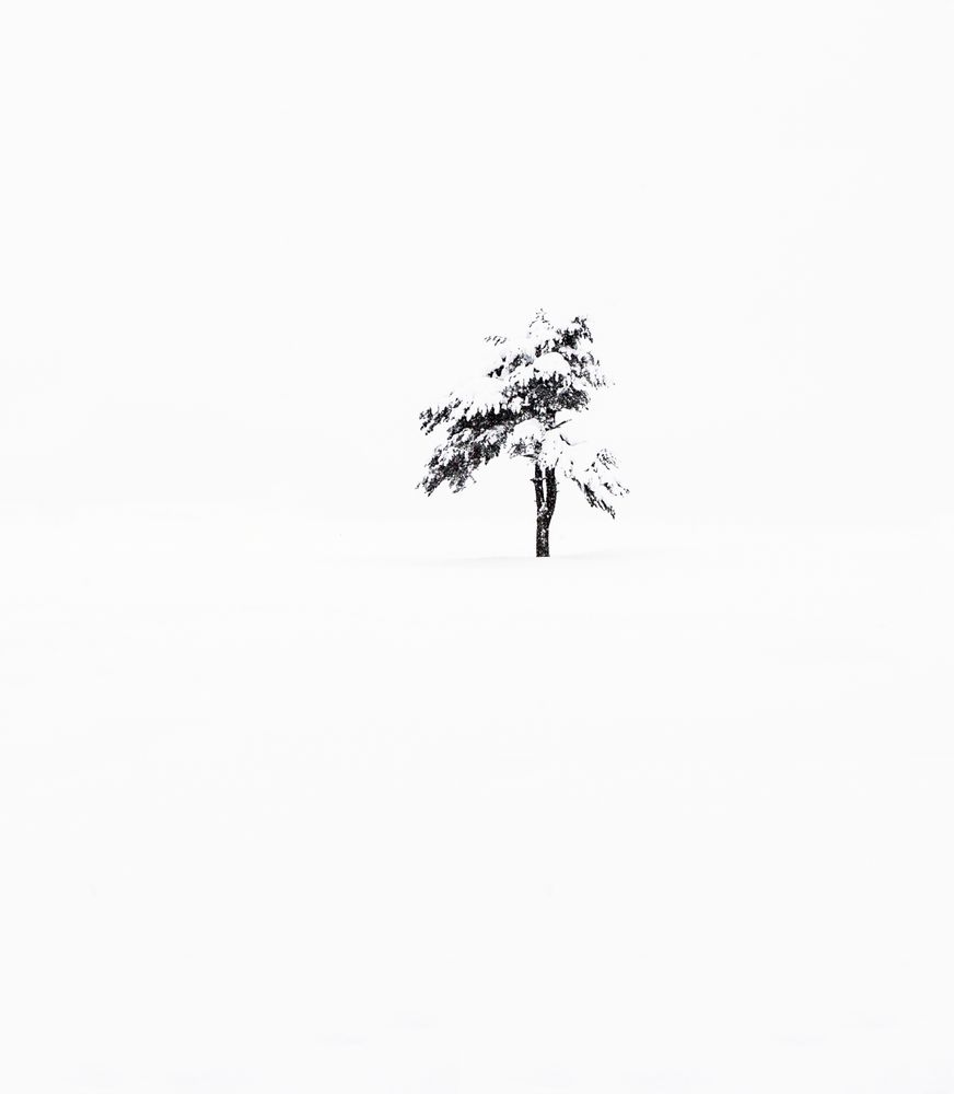 Untitled.