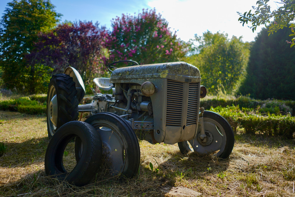 The butcher who wanted to be a mechanic 