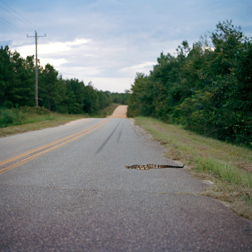 From the series "Soliloquy" © Rosie Brock