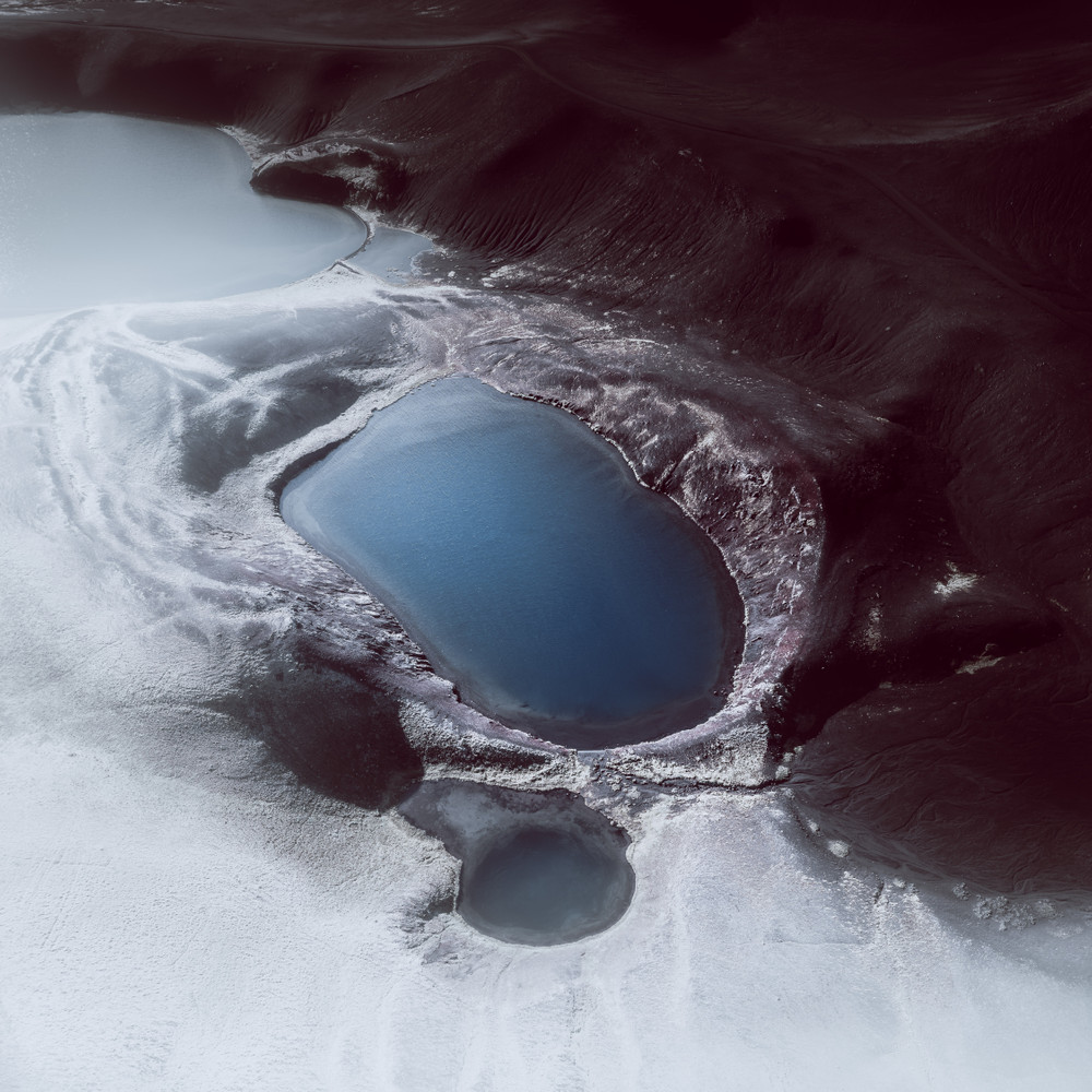Life on Earth