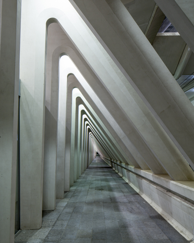 Liege Guillemins