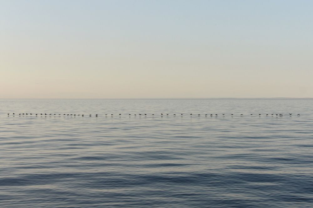 Rivages (shores)