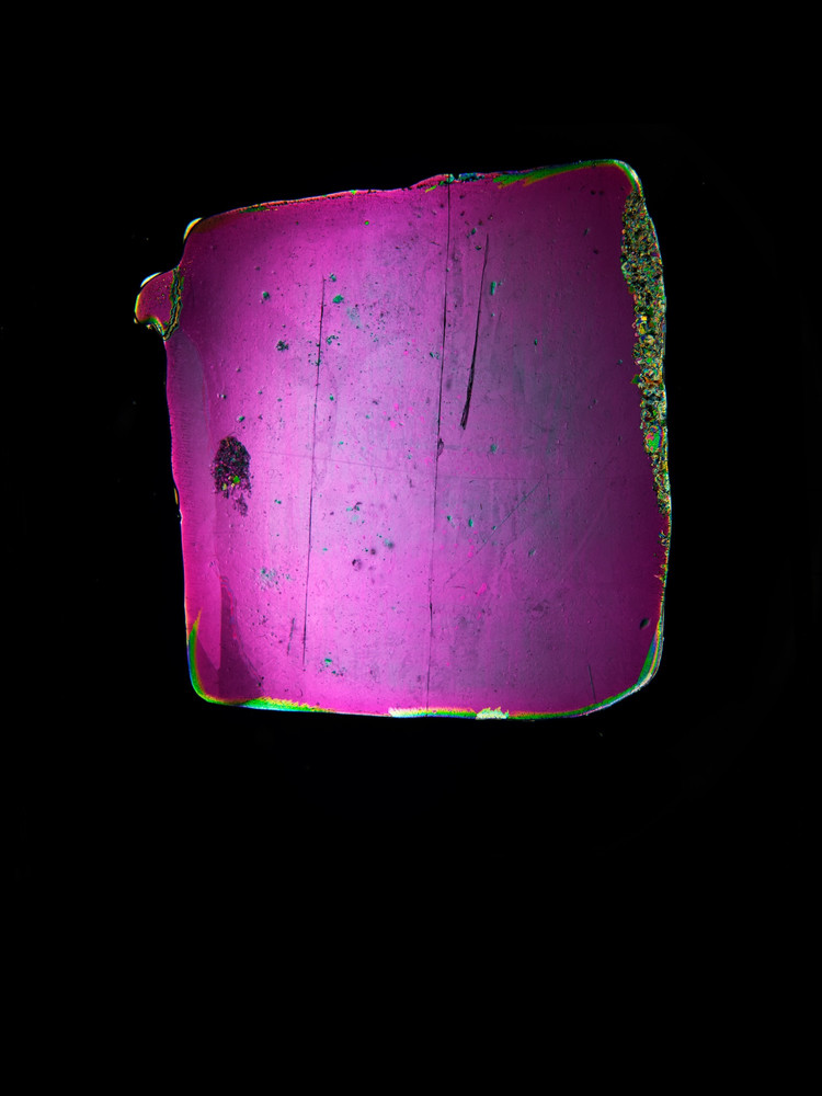 From the series "Time Capsule" © Laure Winants