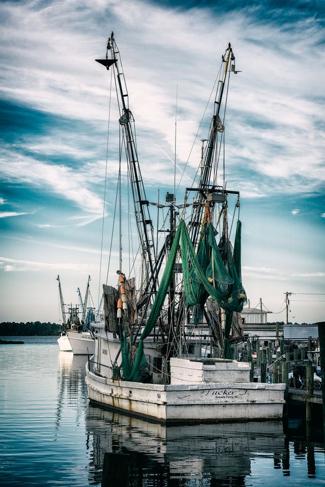 Shrimpers