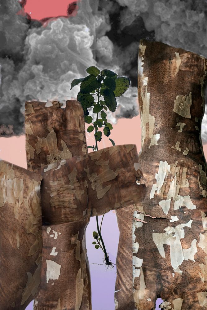 Amalgamated Fragmentation–Plastisphere