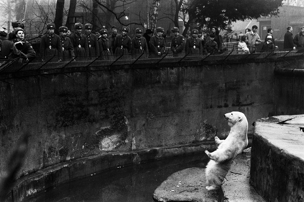 Atonement for Königsberg