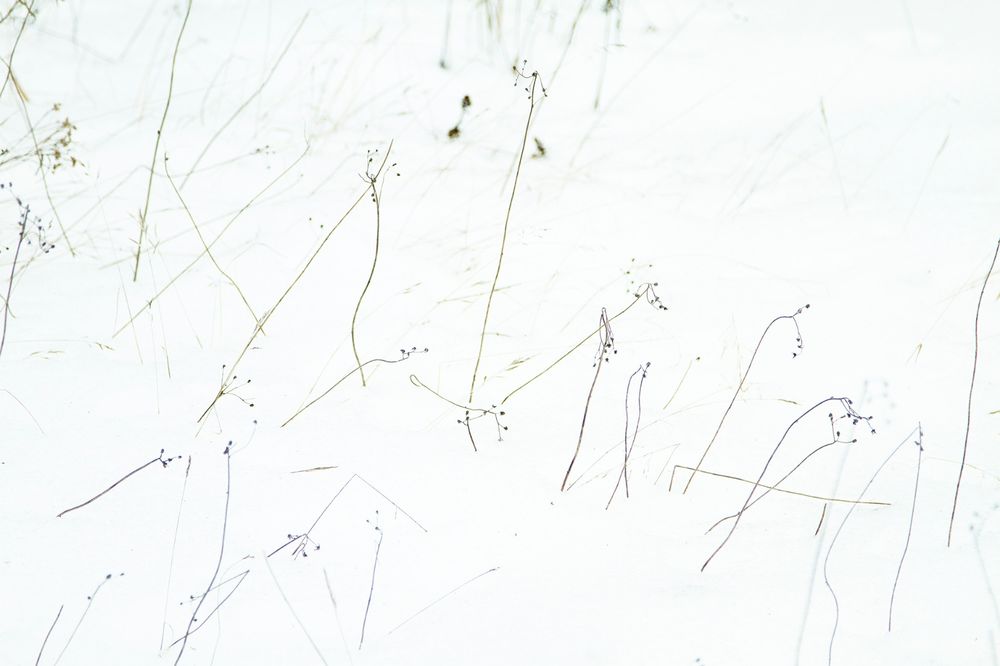blanc