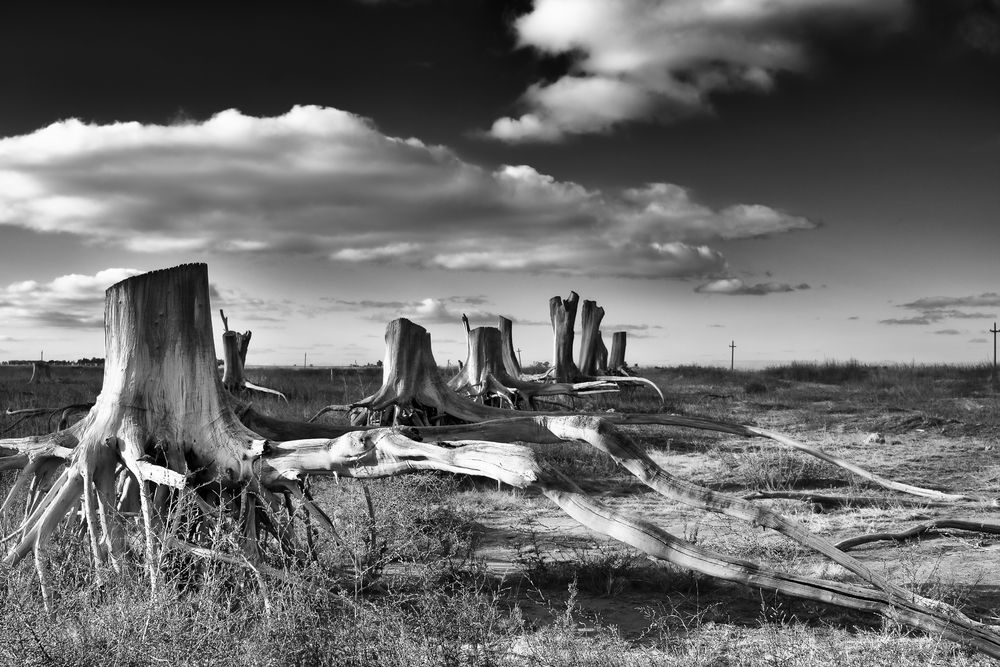 "Epecuen 25 years flooded"