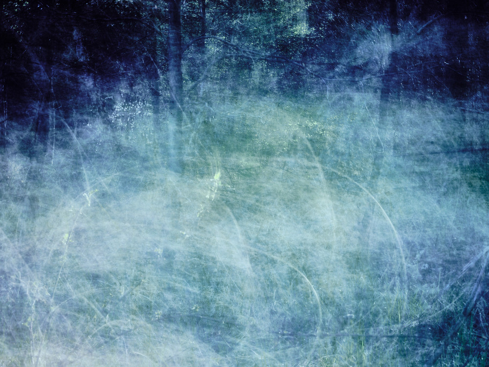 Forest in Motion II