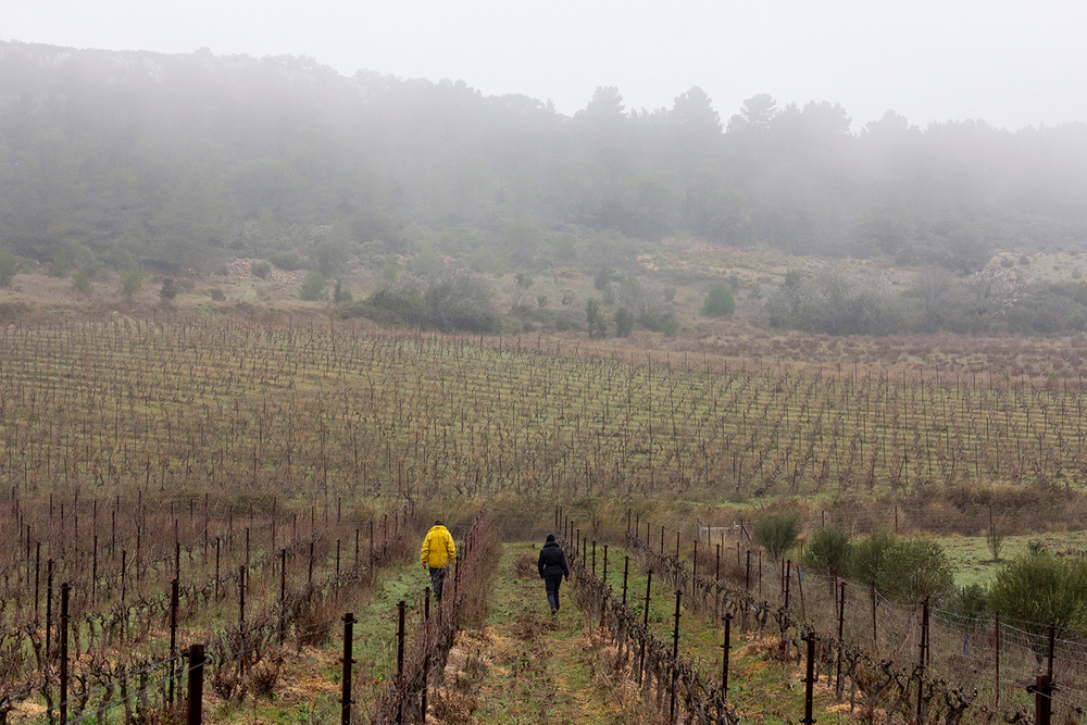 Une année en Corbières: A Year in the Corbières