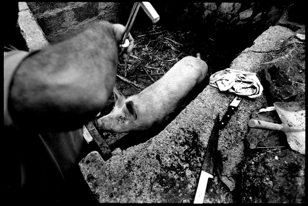 Matanza
