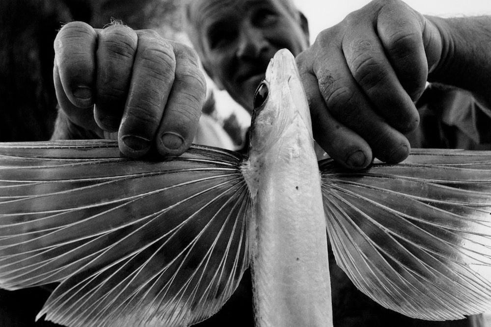 The art of fishing