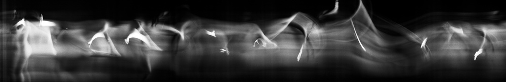 Slit Camera