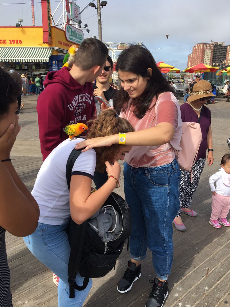 Coney Island photos.