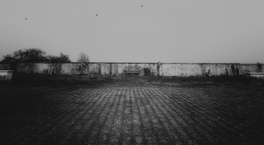 TRANSITION