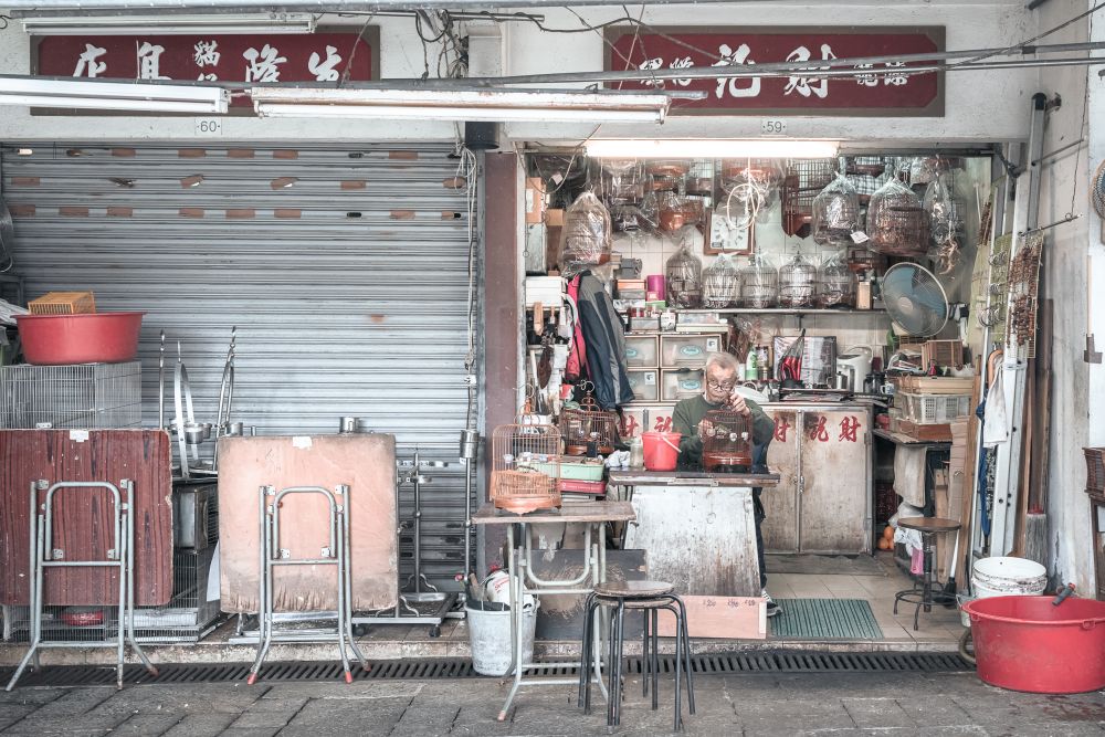 Submission - Hong Kong Environmental Documentary