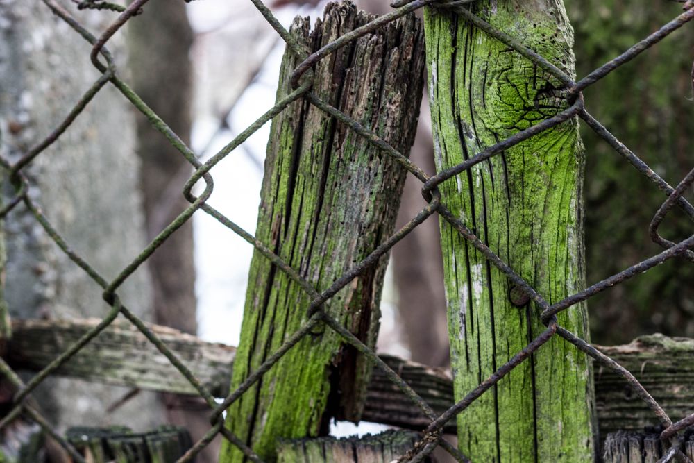 Miksang - Contemplative photography