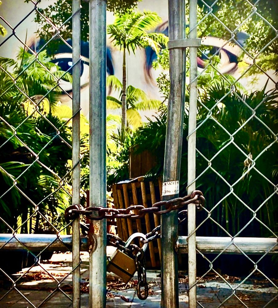Wynwood in Time of Corona