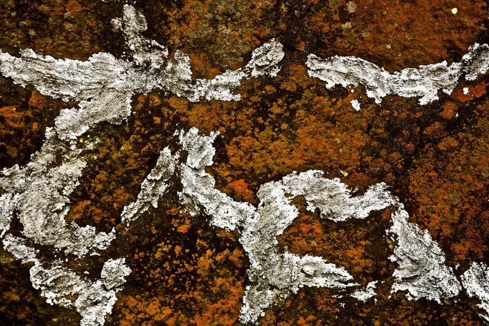 Art of the wall