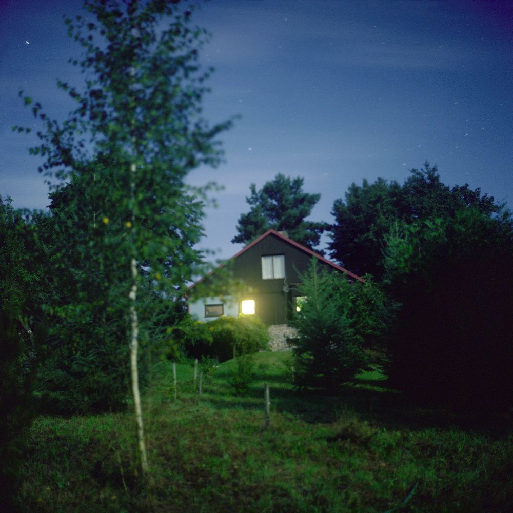 the garden