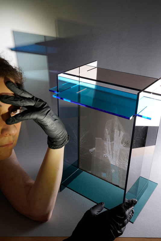 Viewfinder. Diffraction, 2021, 90 X 140 cm, Diasec
