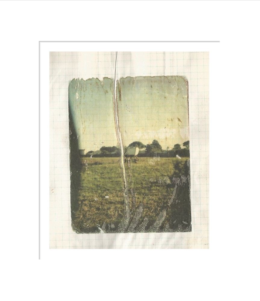 Dark Mirror Image Transfer