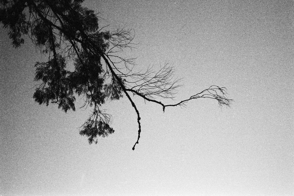 Geography of Silence