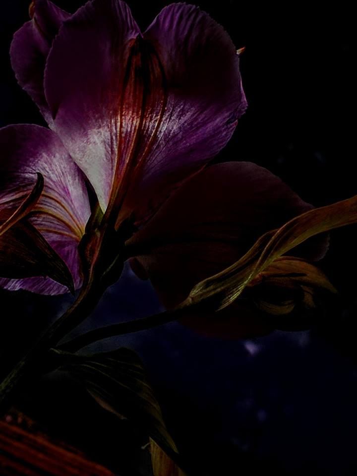 Petra von Holten Various LensCulture