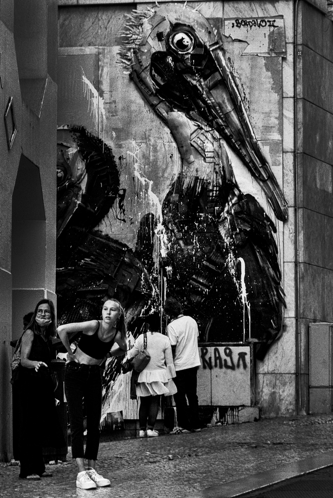 Lisbon stories. I don't believe in fairy tales anymore