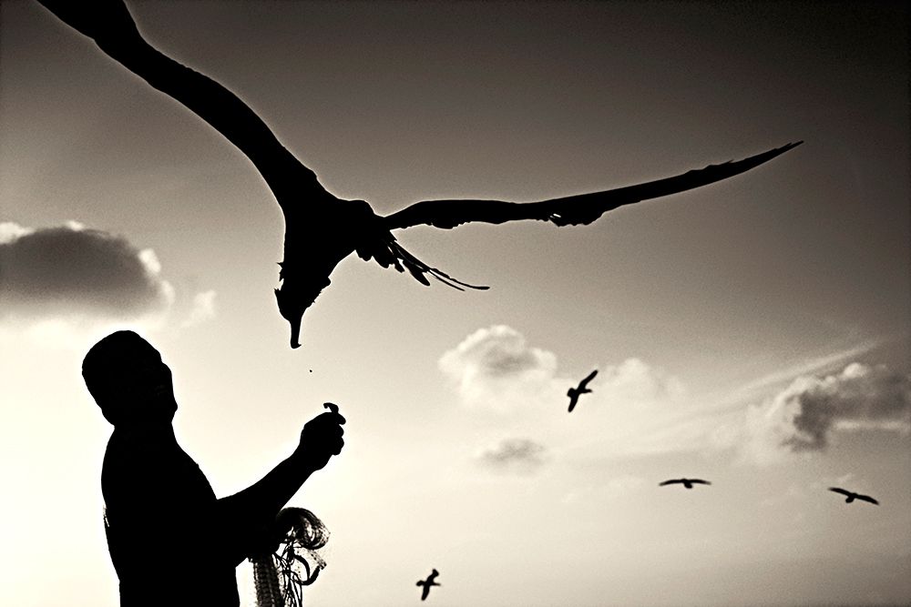 THE BIRD AND THE FISHER